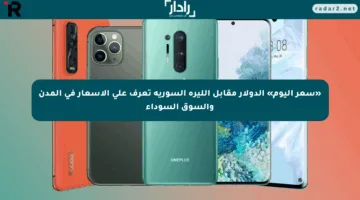«سعر اليوم» الدولار مقابل الليرة السورية تعرف على الأسعار في المدن والسوق السوداء